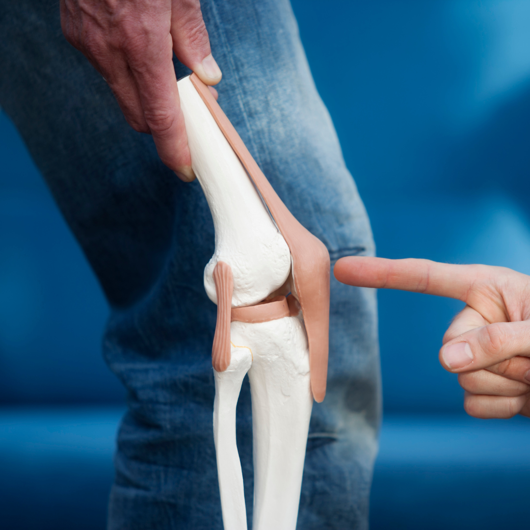 Joint Replacement Consultation