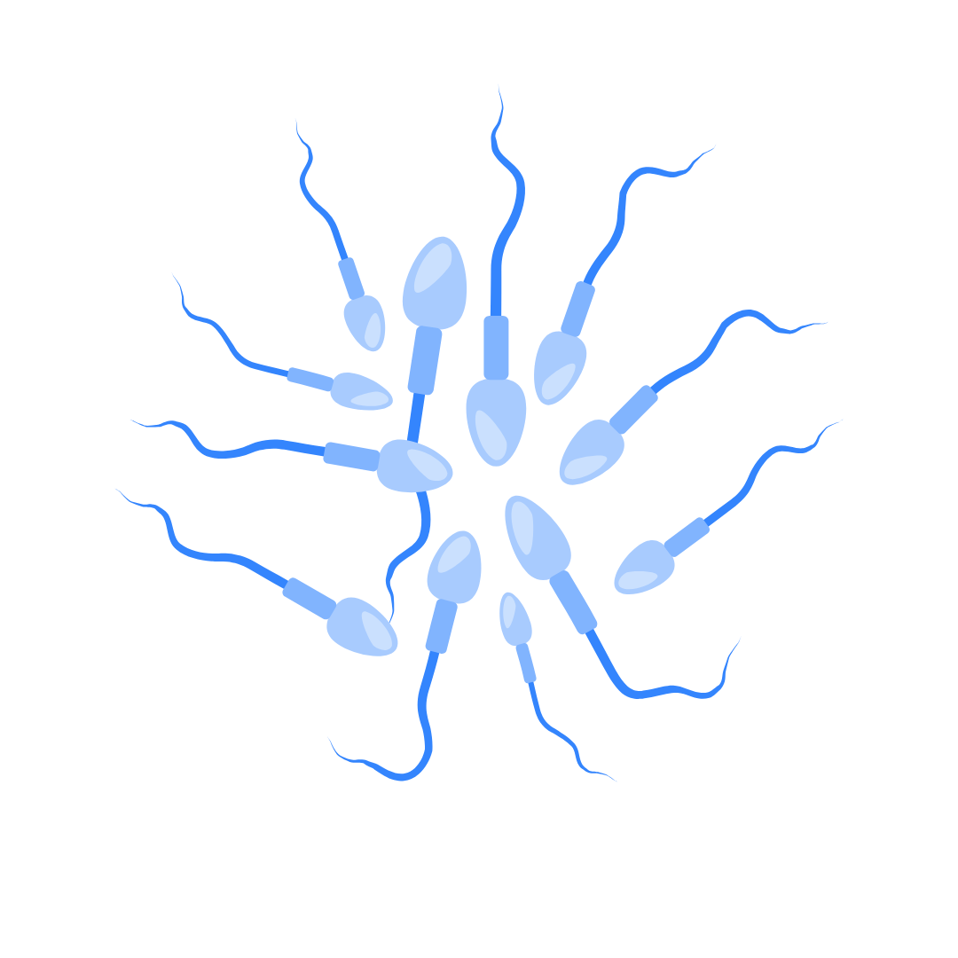 Male Infertility